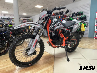 Мотоцикл Progasi PALMA 300 NEW (CB300F)