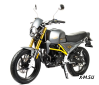 Мотоцикл MOTOLAND (МОТОЛЕНД) SCRAMBLER 250