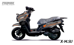Скутер PROMAX STALKER 240(49)