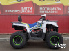 Квадроцикл PROMAX RENEGADE 280 LUX (2025)