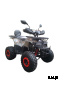 Квадроцикл WELS THUNDER AX125 PRO